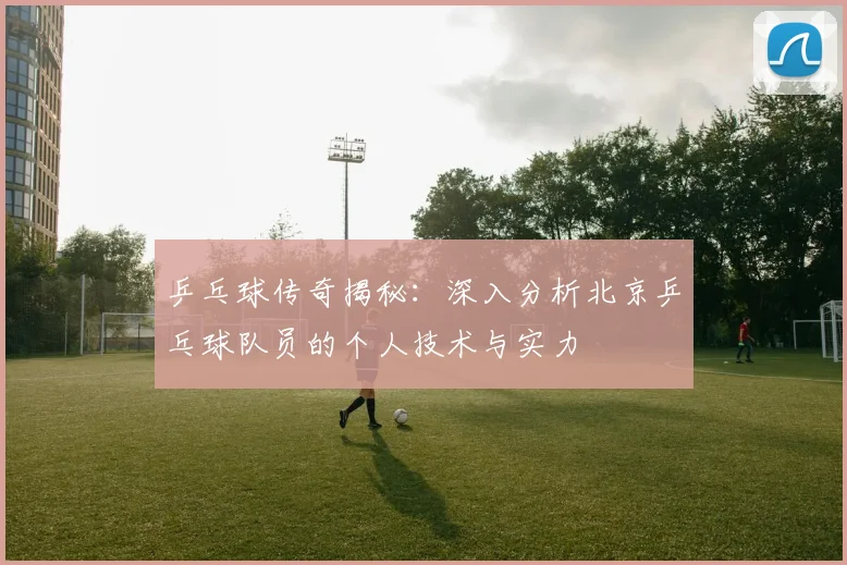 乒乓球传奇揭秘：深入分析北京乒乓球队员的个人技术与实力